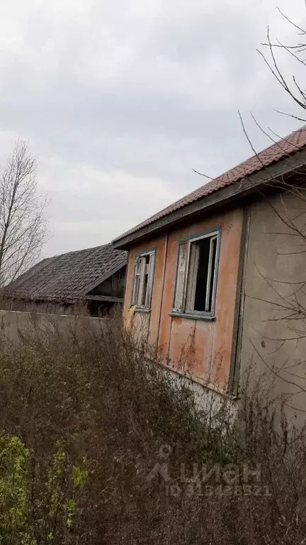 Участок в Тверская область, Старицкий муниципальный округ, д. Смагино  ... - Фото 1