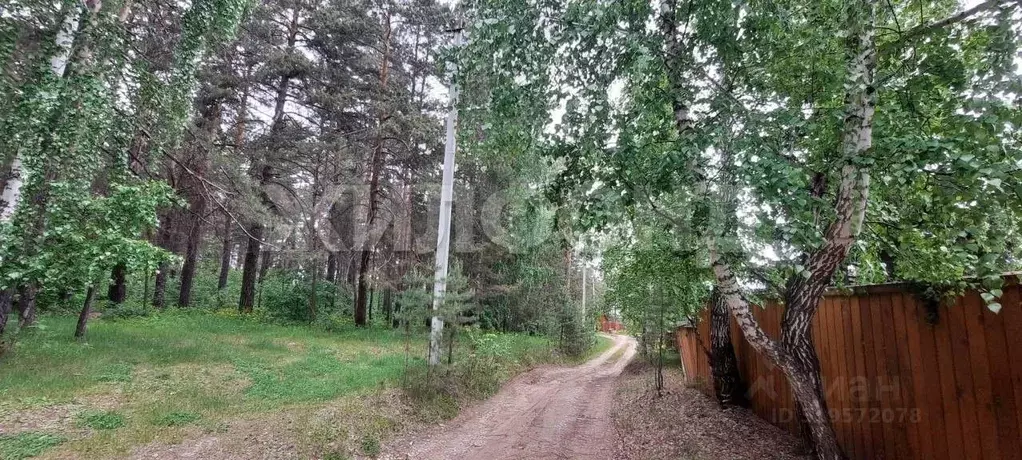 Участок в Новосибирская область, Ордынский район, с. Нижнекаменка ... - Фото 0