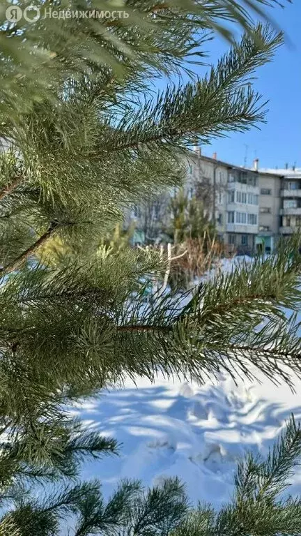 3-комнатная квартира: Ангарск, микрорайон 6А, 41 (68.9 м) - Фото 2