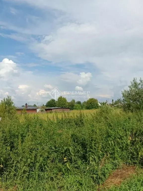 Участок в Кировская область, Слободской район, Ильинское с/пос, д. ... - Фото 1