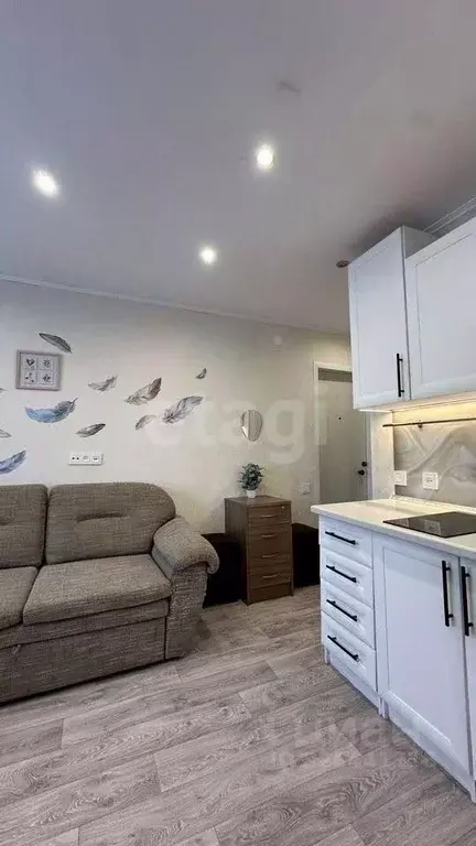 Студия Вологодская область, Вологда ул. Пугачева, 73В (18.0 м) - Фото 1