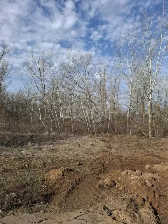 Участок в Волгоградская область, Среднеахтубинский район, Ахтубинское ... - Фото 1