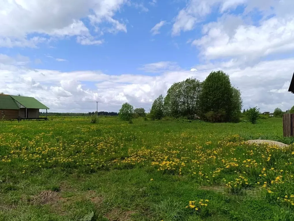 Участок в Ленинградская область, Волосовский район, Калитинское с/пос, ... - Фото 2