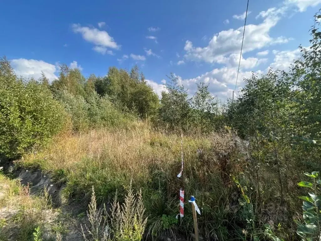 Участок в Ленинградская область, Приозерск пер. Ручейный (12.0 сот.) - Фото 1