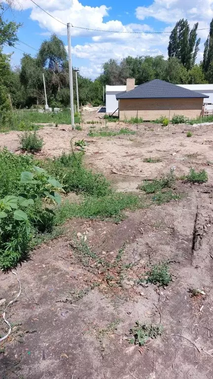 Участок в Волгоградская область, Волгоград ул. Саши Чекалина (6.7 ... - Фото 1