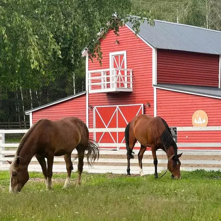 Дом в Московская область, Орехово-Зуевский городской округ, д. ... - Фото 1