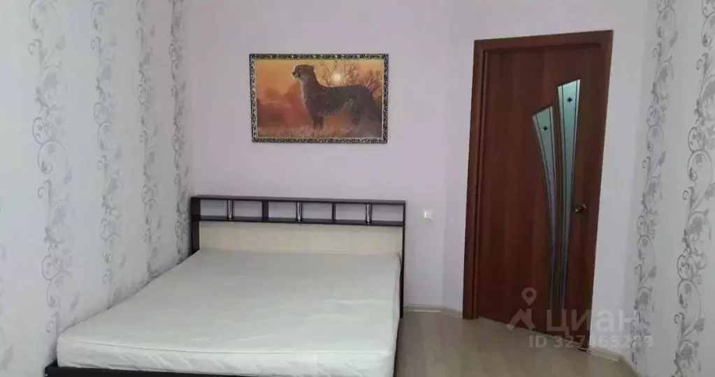 1-к кв. Ставропольский край, Михайловск Шпаковский район, ул. Ленина, ... - Фото 2