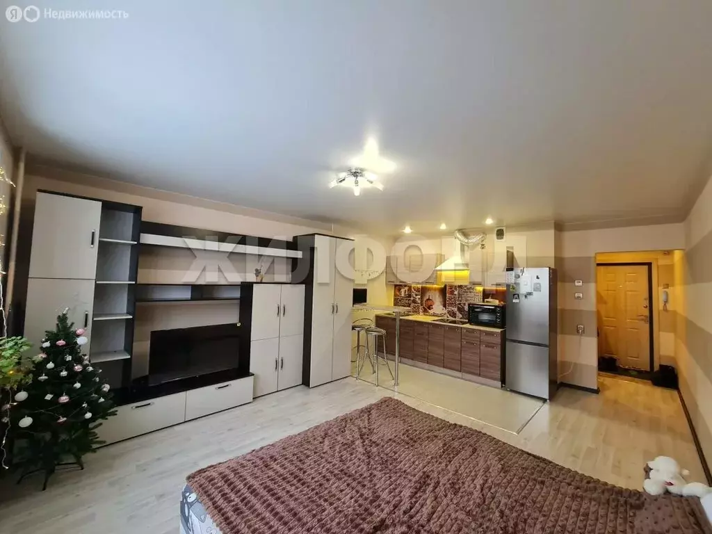 Квартира-студия: Новосибирск, улица Татьяны Снежиной, 43/1 (32.6 м) - Фото 1