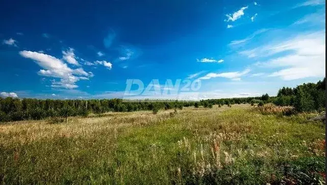 Участок в Челябинская область, Сосновский район, Кременкульское с/пос, ... - Фото 0