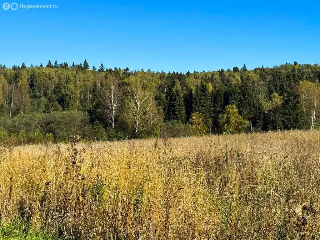 Участок в Московская область, Дмитровский муниципальный округ, КП ... - Фото 1