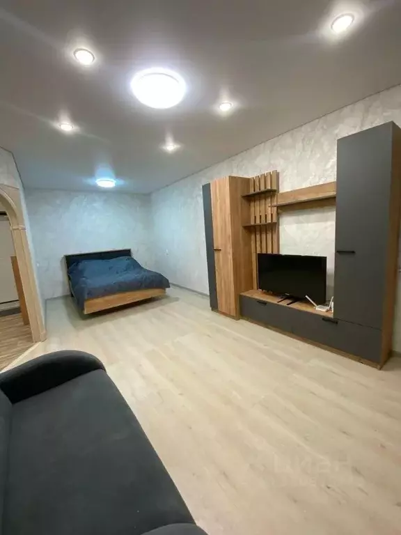 1-к кв. Татарстан, Казань ул. Юлиуса Фучика, 110 (30.0 м) - Фото 1