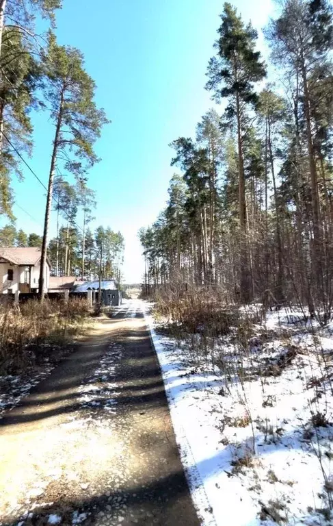 Участок в Свердловская область, Екатеринбург Исток СНТ,  (1.2 сот.) - Фото 0