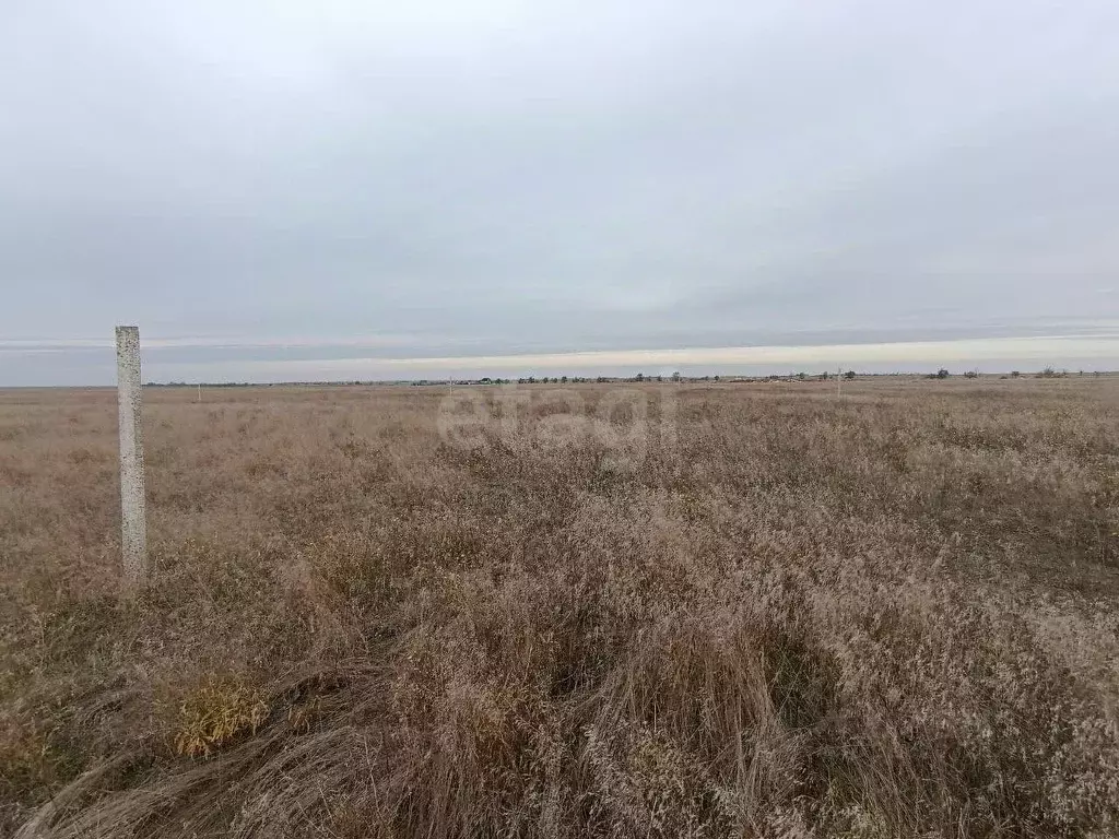 Участок в Крым, Сакский район, Молочненское с/пос, с. Витино  (6.0 ... - Фото 1