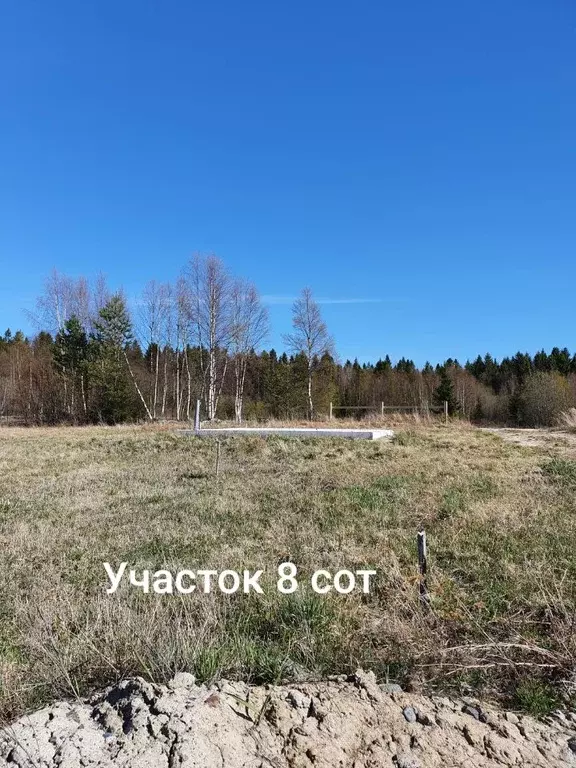 Участок в Карелия, Питкярантский муниципальный округ, Лункулансаари ... - Фото 1