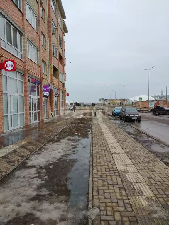 Помещение свободного назначения в Краснодарский край, Ейск Западная ... - Фото 2