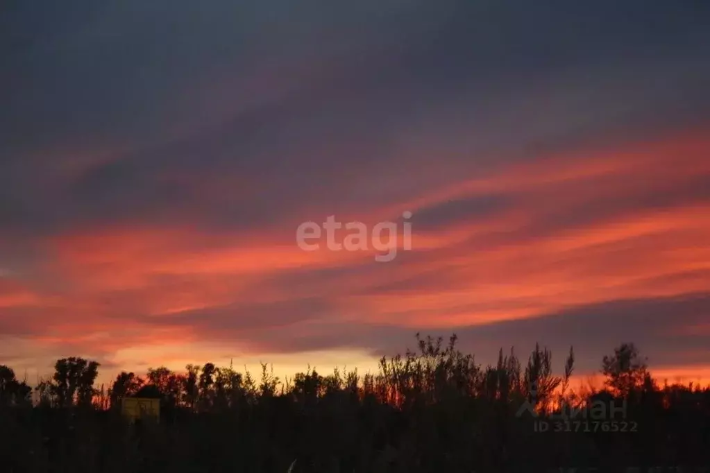 Участок в Амурская область, Благовещенский район, с. Игнатьево  ... - Фото 1