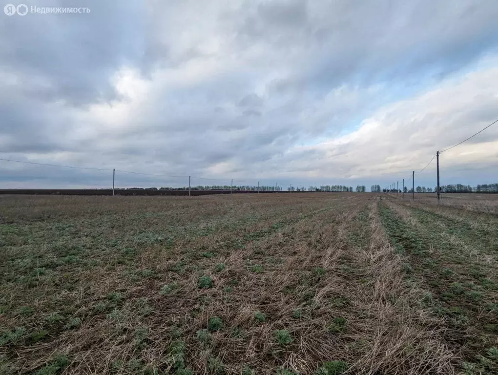 Участок в Тукаевский район, Калмиинское сельское поселение (8 м) - Фото 0