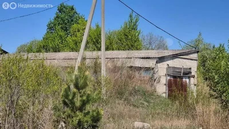 Участок в Амурская область, Благовещенский муниципальный округ, село ... - Фото 2