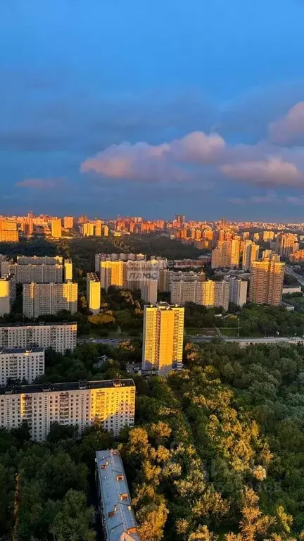 1-к кв. Москва Мичуринский просп., 56 (78.2 м) - Фото 1