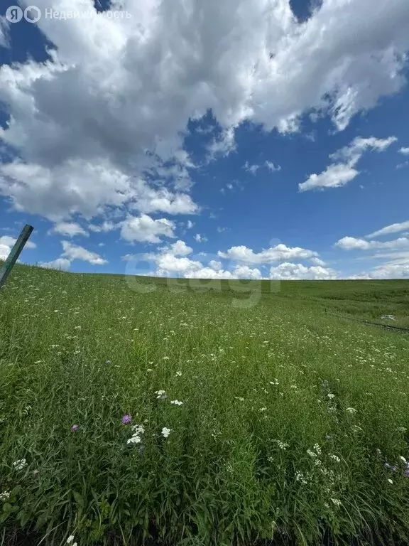 Участок в Алфёрово, улица И.А. Шаркова (9.93 м) - Фото 1