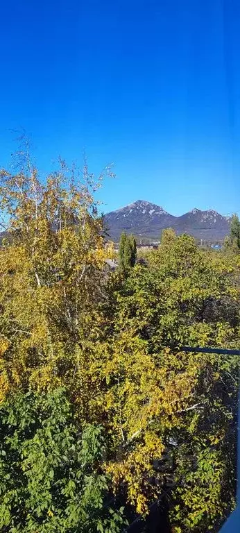 2-к кв. Ставропольский край, Пятигорск просп. Калинина, 2К4 (42.0 м) - Фото 1