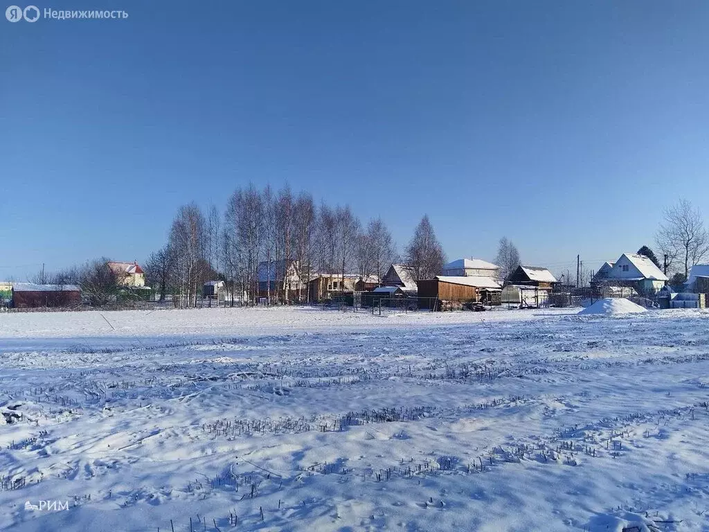 Участок в Череповецкий район, муниципальное образование Югское, ... - Фото 0