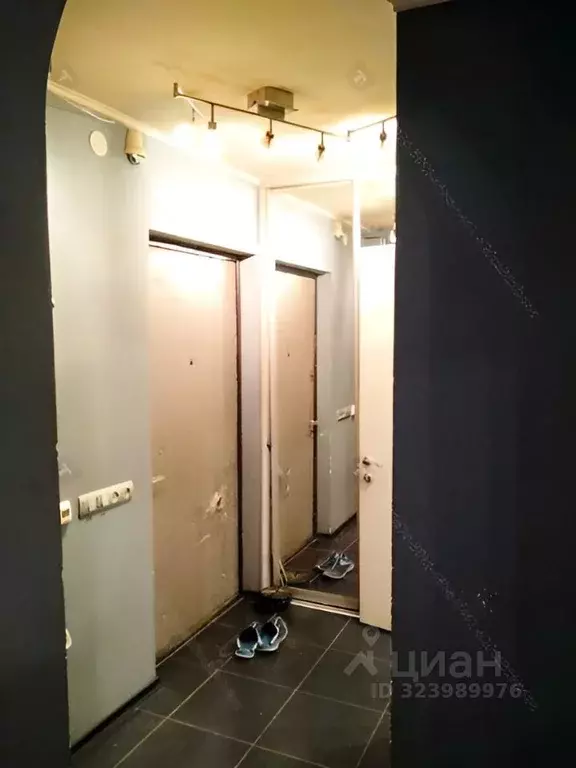 1-к кв. Московская область, Чехов муниципальный округ, д. Алексеевка, ... - Фото 2