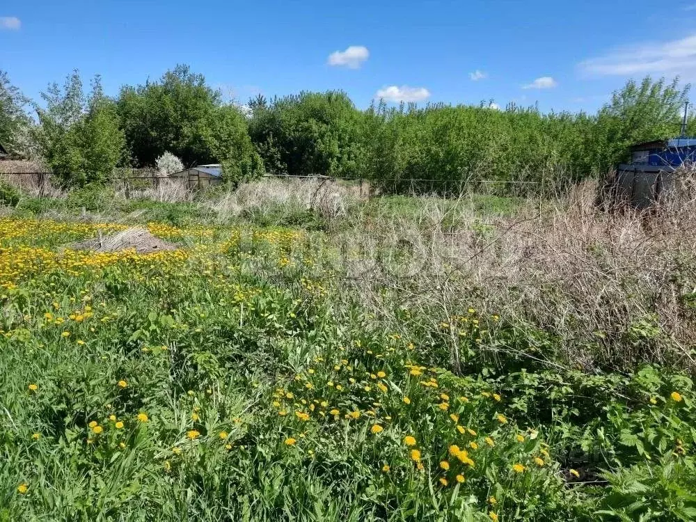 Участок в Новосибирская область, Новосибирск Коуракская ул. (11.3 ... - Фото 0