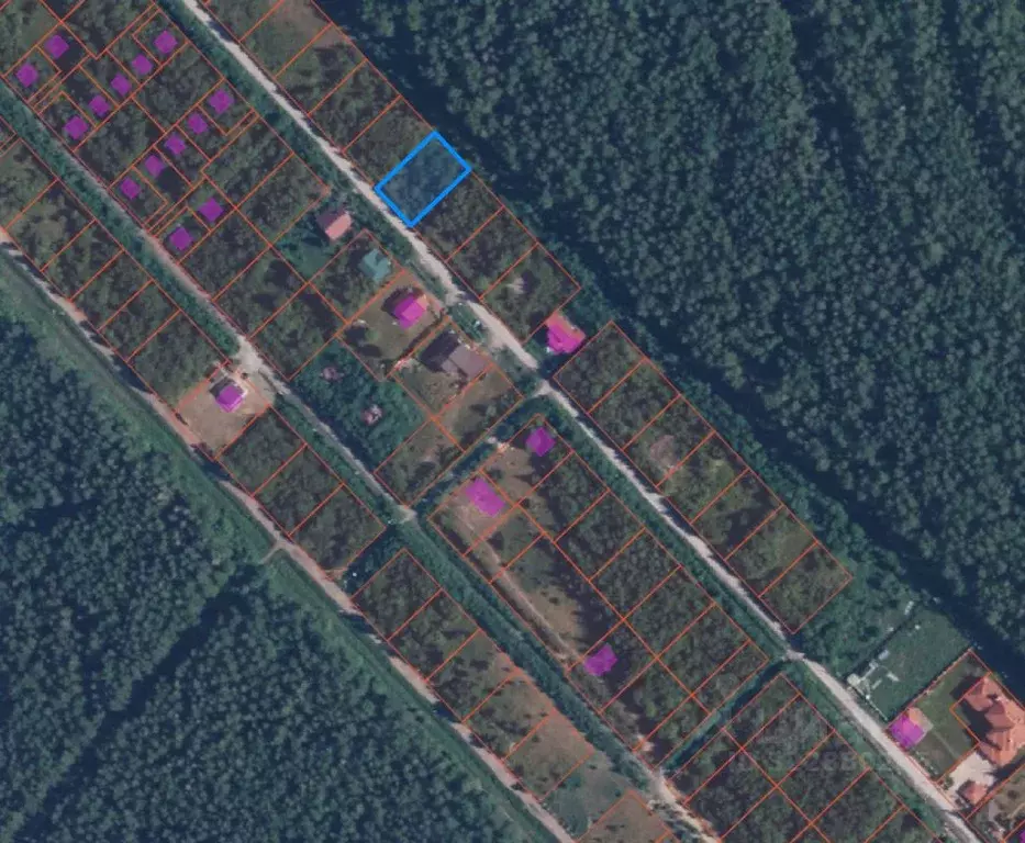 Участок в Ленинградская область, Всеволожский район, Морозовское ... - Фото 2