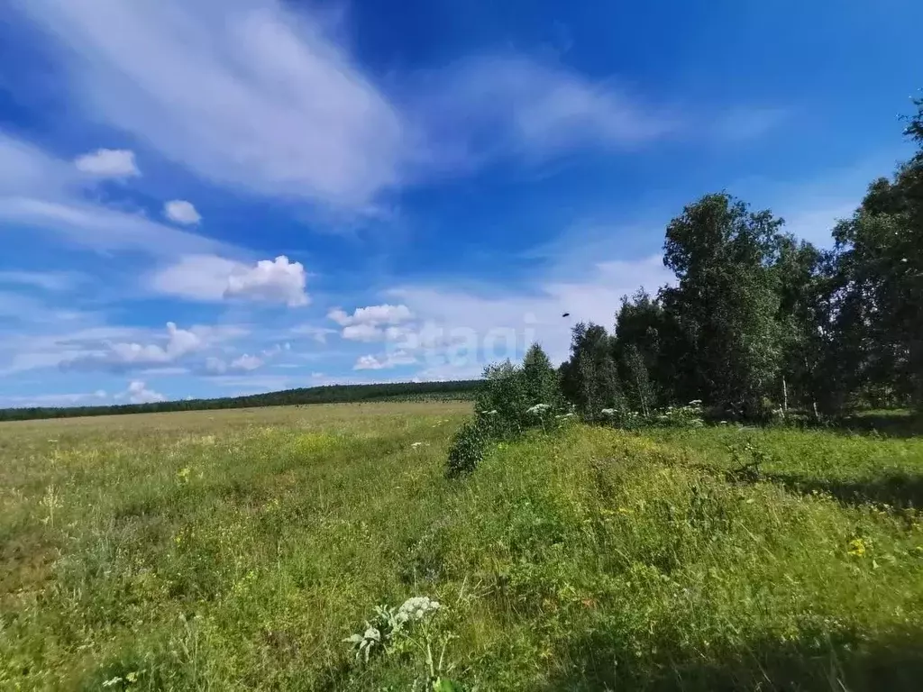 Участок в Иркутская область, Эхирит-Булагатский район, Кулункунское ... - Фото 0