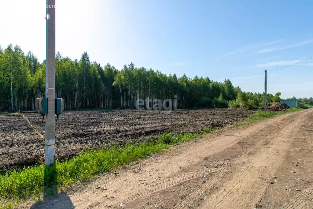 Дом в Тюмень, территория СОСН Автоприбор, Рябиновая улица (42 м) - Фото 0