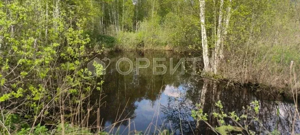 Участок в Тюменская область, Нижнетавдинский район, Фортуна СТ ул. 2-я ... - Фото 0