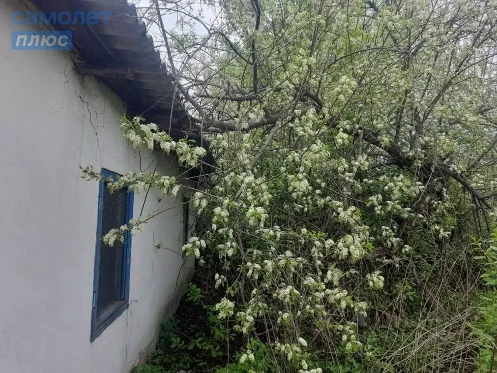 Дом в Кемеровская область, Кемерово Бачатская ул., 42 (42 м) - Фото 0