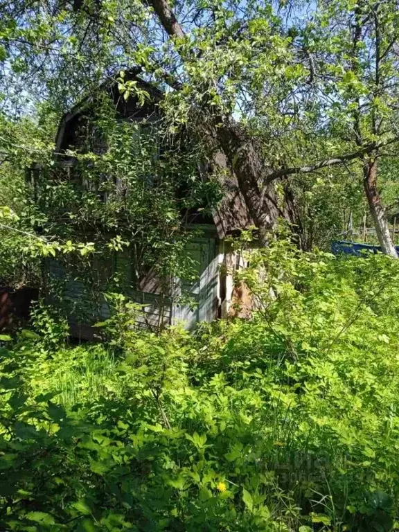 Участок в Нижегородская область, Нижний Новгород Маяк садоводческое ... - Фото 1