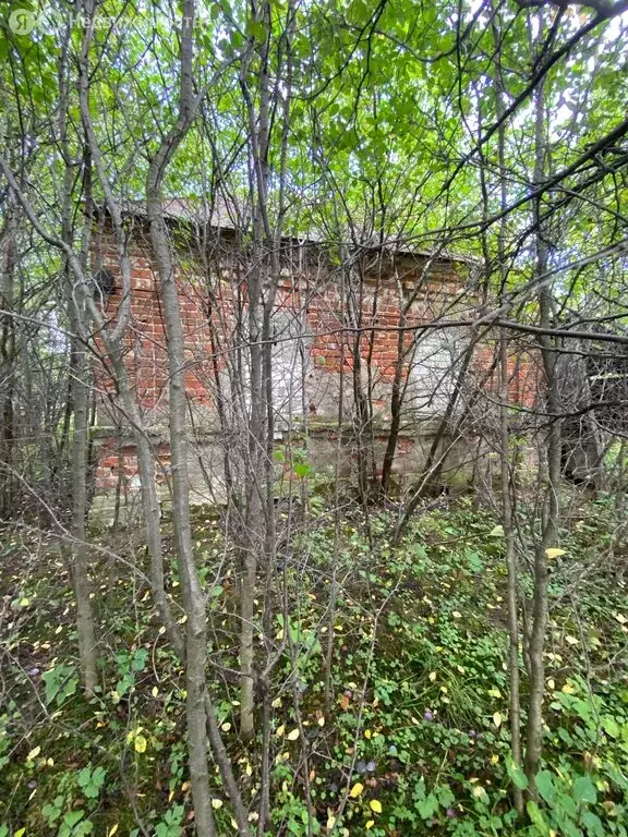 Участок в Рязанская область, Шиловский муниципальный округ, село Ирицы ... - Фото 2