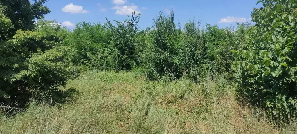 Участок в Краснодарский край, Северский район, Львовское с/пос, с. ... - Фото 1