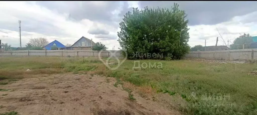 Участок в Волгоградская область, Среднеахтубинский район, Фрунзенское ... - Фото 2