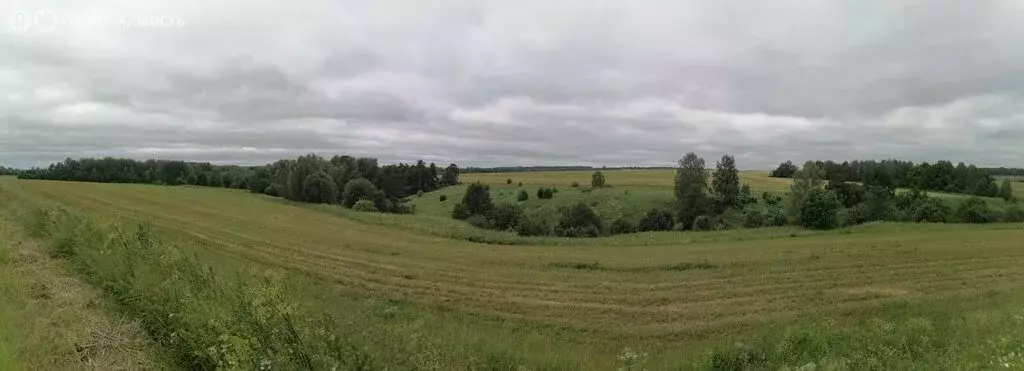 Участок в Владимирская область, Собинский муниципальный округ, деревня ... - Фото 0