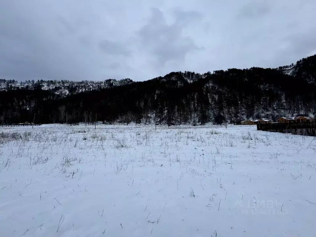Участок в Алтайский край, Алтайский район, с. Нижнекаменка  (8.0 сот.) - Фото 1