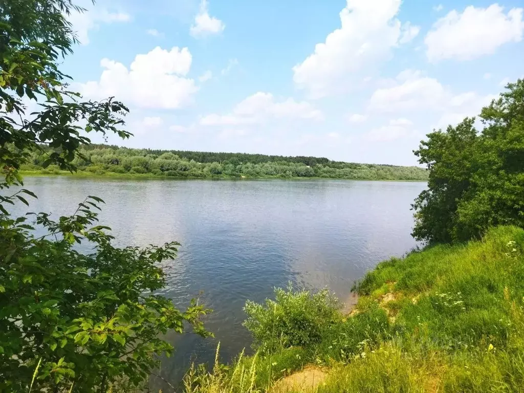 Участок в Тульская область, Ясногорский район, Иваньковское с/пос, ... - Фото 1