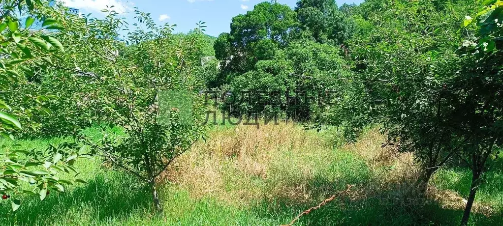 Участок в Краснодарский край, Новороссийск городской округ, с. Мысхако ... - Фото 1