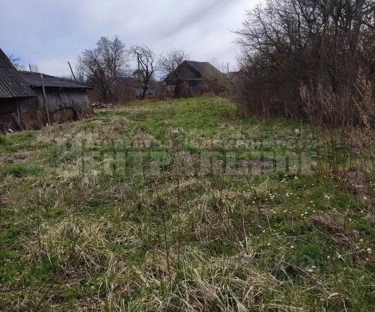 участок в смоленская область, смоленский муниципальный округ, . - Фото 1