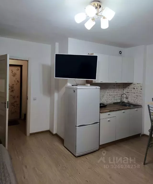 Студия Санкт-Петербург просп. Энергетиков, 11к5 (25.5 м) - Фото 2