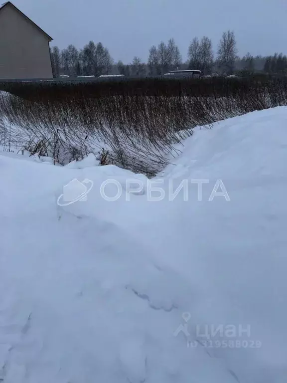 Участок в Тюменская область, Тюменский район, с. Червишево  (15.0 ... - Фото 1