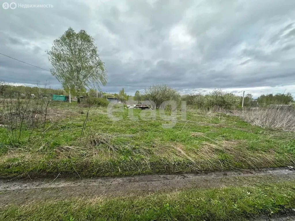 Участок в село Толмачево, СДТ Русь (5 м) - Фото 1