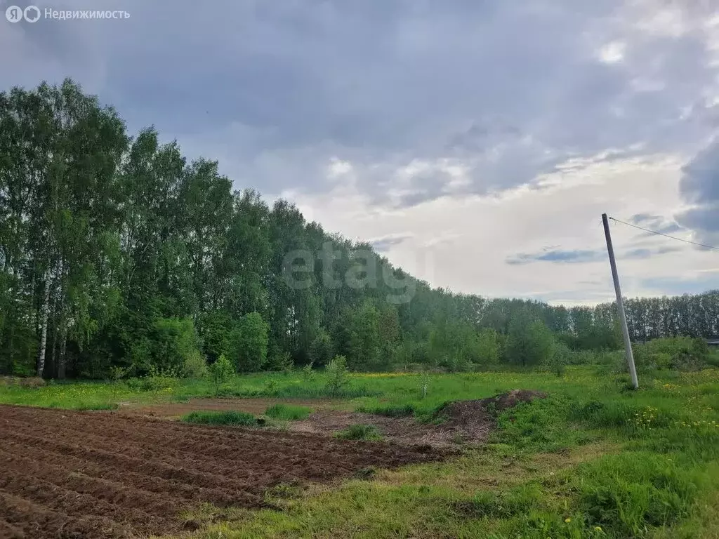 Участок в Медведевский район, Кузнецовское сельское поселение, деревня ... - Фото 1
