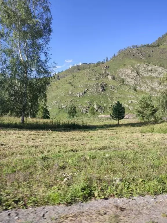 Участок в Алтай, Чемальский район, с. Бешпельтир  (3.4 сот.) - Фото 1