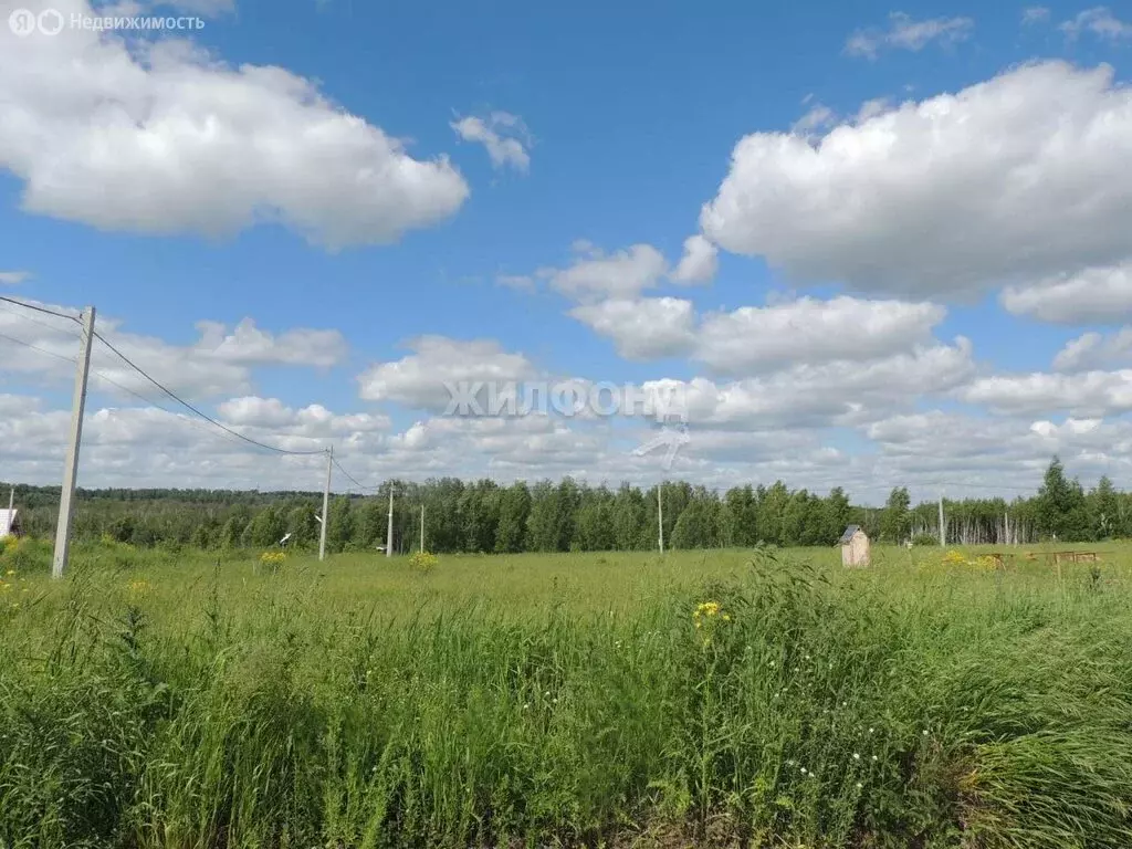 Участок в Плотниковский сельсовет, коттеджный посёлок Июль (9 м) - Фото 1