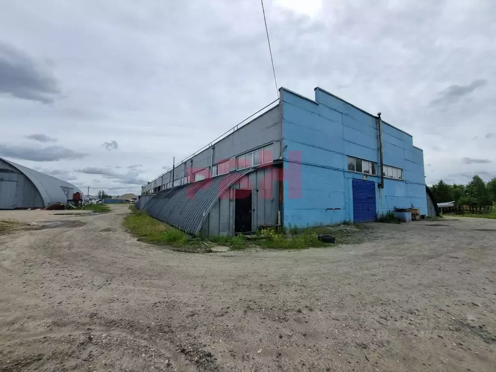 Помещение свободного назначения в Ярославская область, Ярославль ... - Фото 2