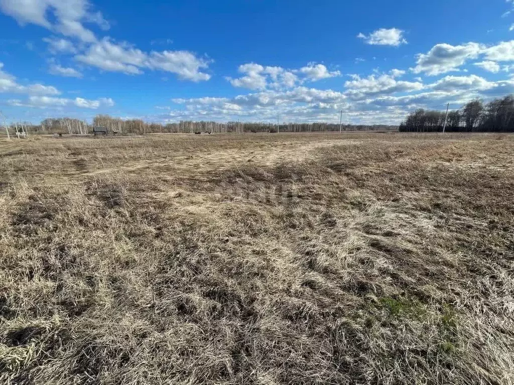 Участок в Новосибирская область, Новосибирский район, Верх-Тулинский ... - Фото 1